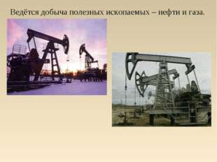 Ведётся добыча полезных ископаемых – нефти и газа. 