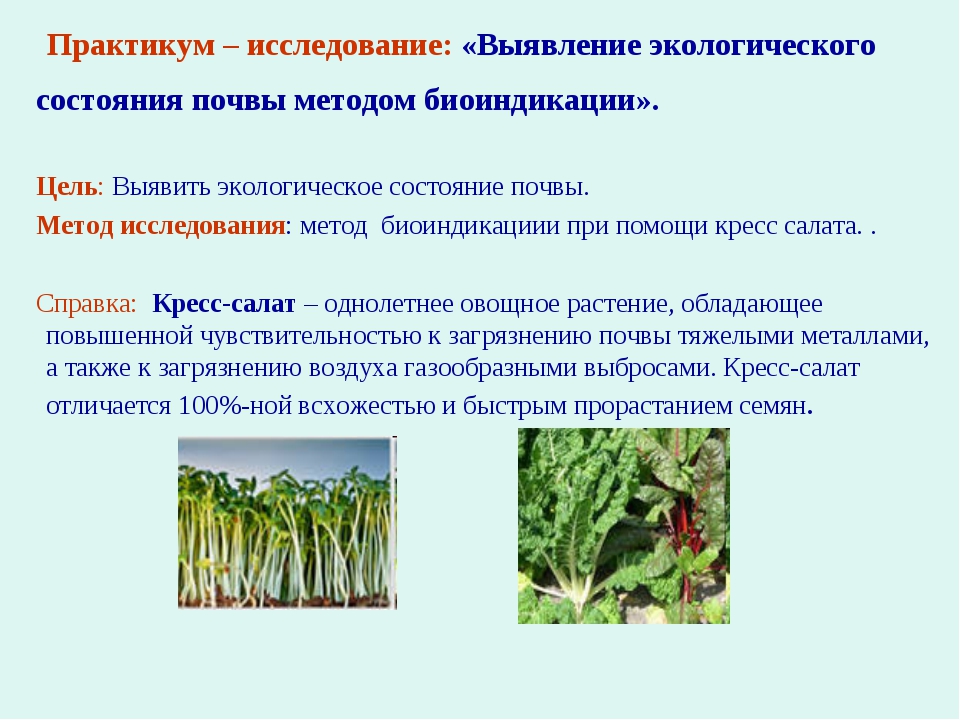 От чего зависят растения. Влияние почвы на рост растений. Влияние грунта на рост растений. Влияние растительности на почву. Влияние почвы на рост.